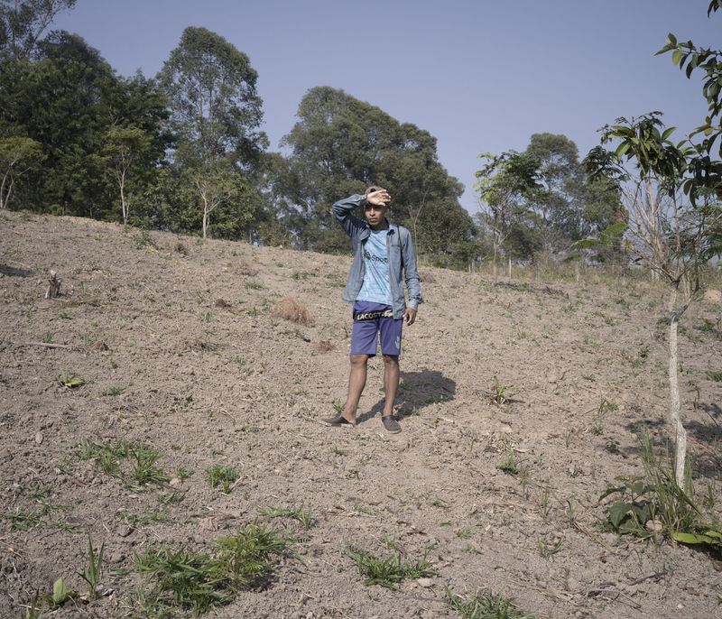© Tommaso Rada - A Gurani of the Tekoa Pindo Mirim Village looks at the fields of the village.