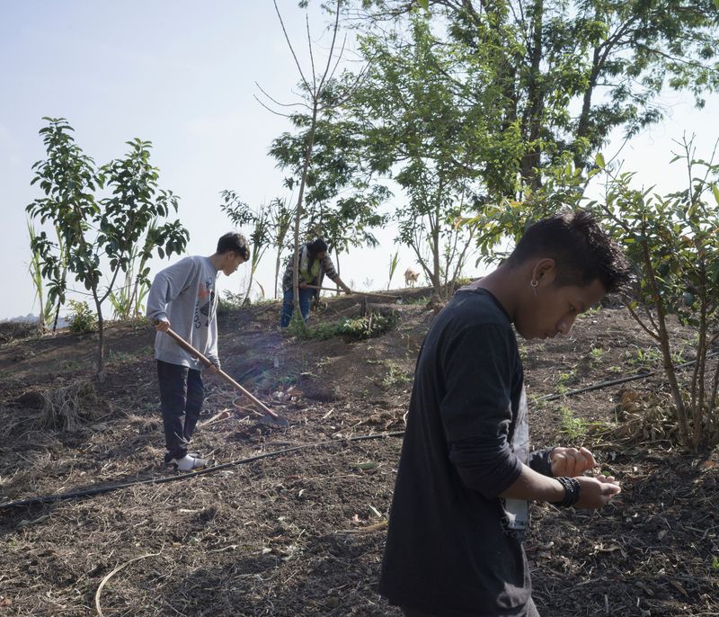 © Tommaso Rada - Guarani from the Tekoa Pindo Mirim Village prepare the field for the sowing.