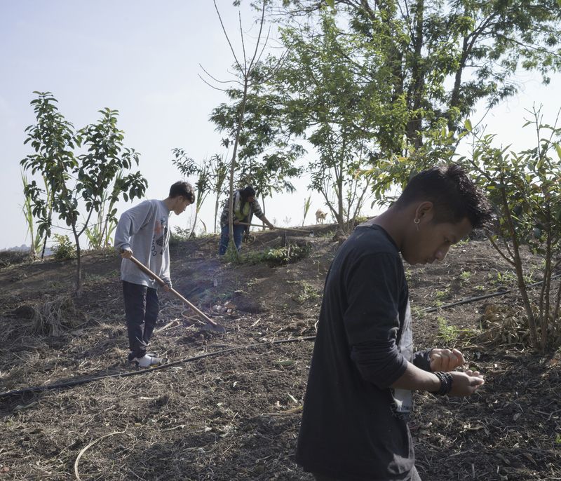 © Tommaso Rada - Guarani from the Tekoa Pindo Mirim Village prepare the field for the sowing.