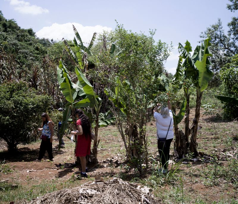 © Tommaso Rada - Patients of the CAPS (Psico-social care center) visit the MST occupation.