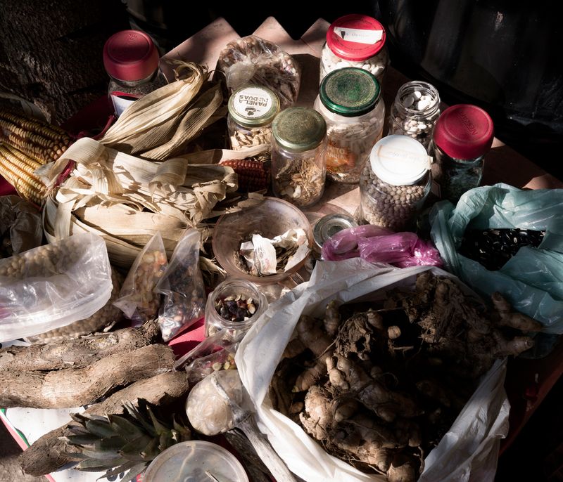 © Tommaso Rada - The seeds the farmer produce is set up in the MST occupation before a public school educational visit.