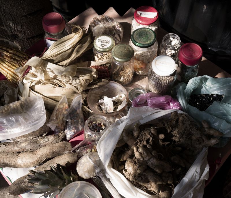 © Tommaso Rada - The seeds the farmer produce is set up in the MST occupation before a public school educational visit.