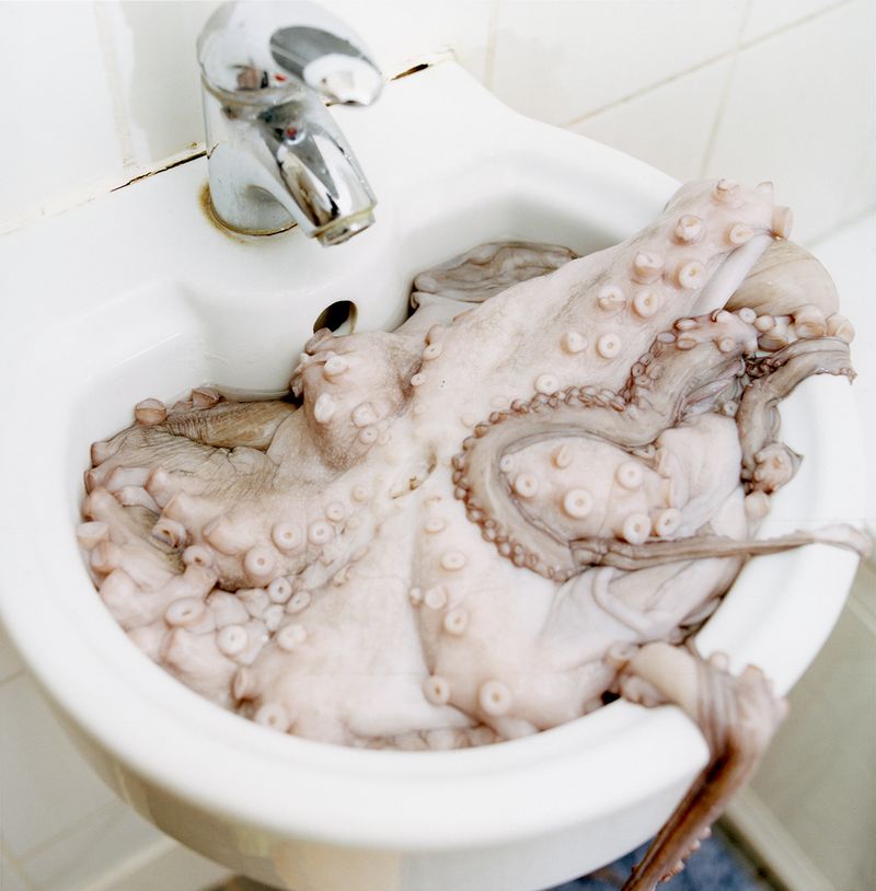 © Yushi Li - The Dream of the Fisherwoman 2, 2018