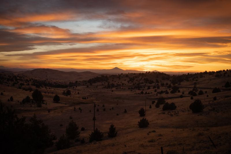 © Rosie Day - Image from the Shaniko photography project