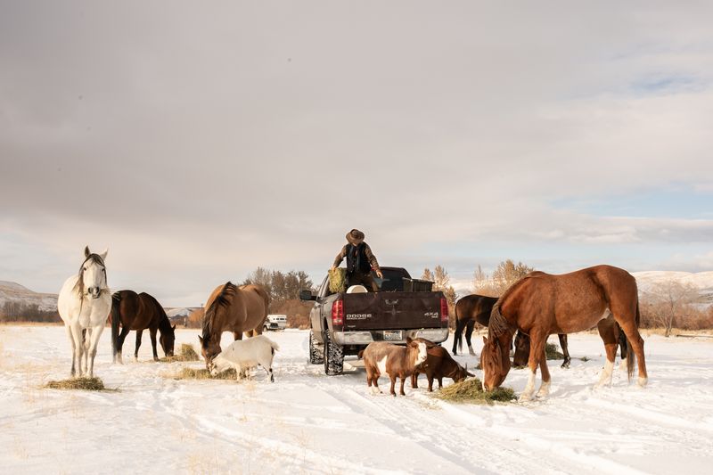 © Rosie Day - Image from the Shaniko photography project