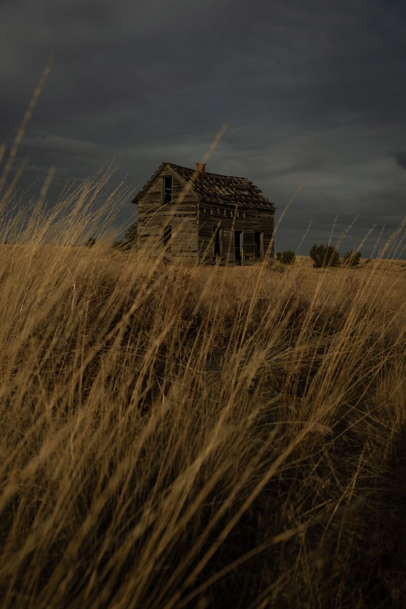 © Rosie Day - Image from the Shaniko photography project