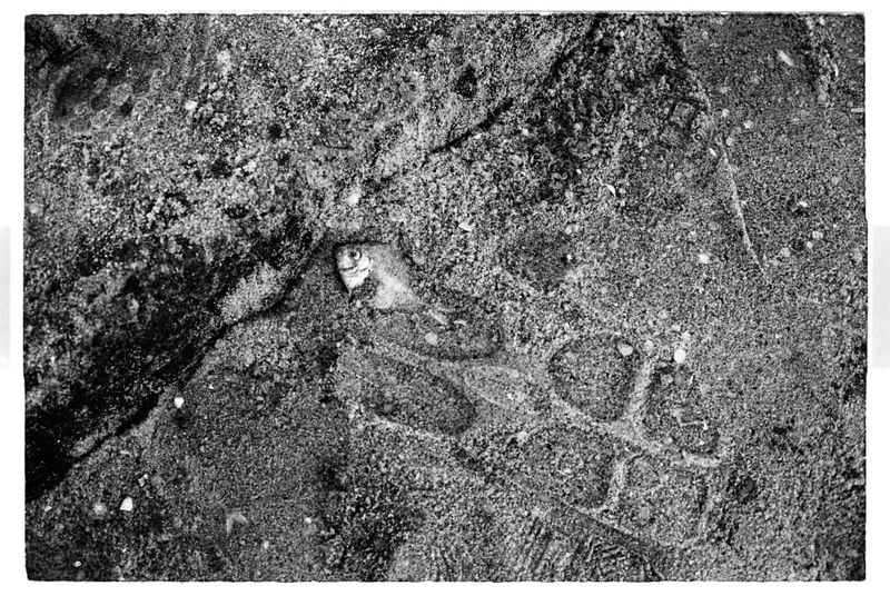 © Kelsy Macuacua - Image from the TRAÇOS DA MARÉ AZUL photography project