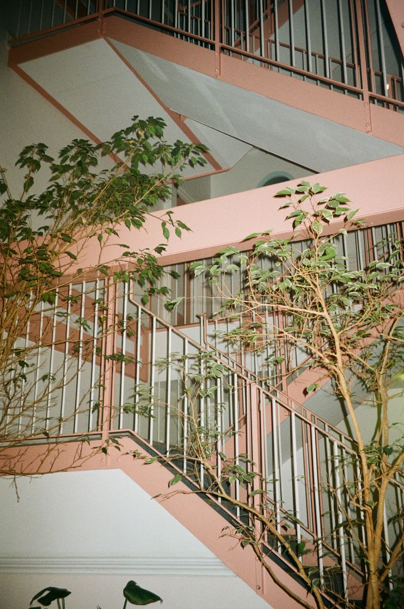 © Tyler Matthias - Image from the WHAT NOW? (WORKING TITLE) photography project
