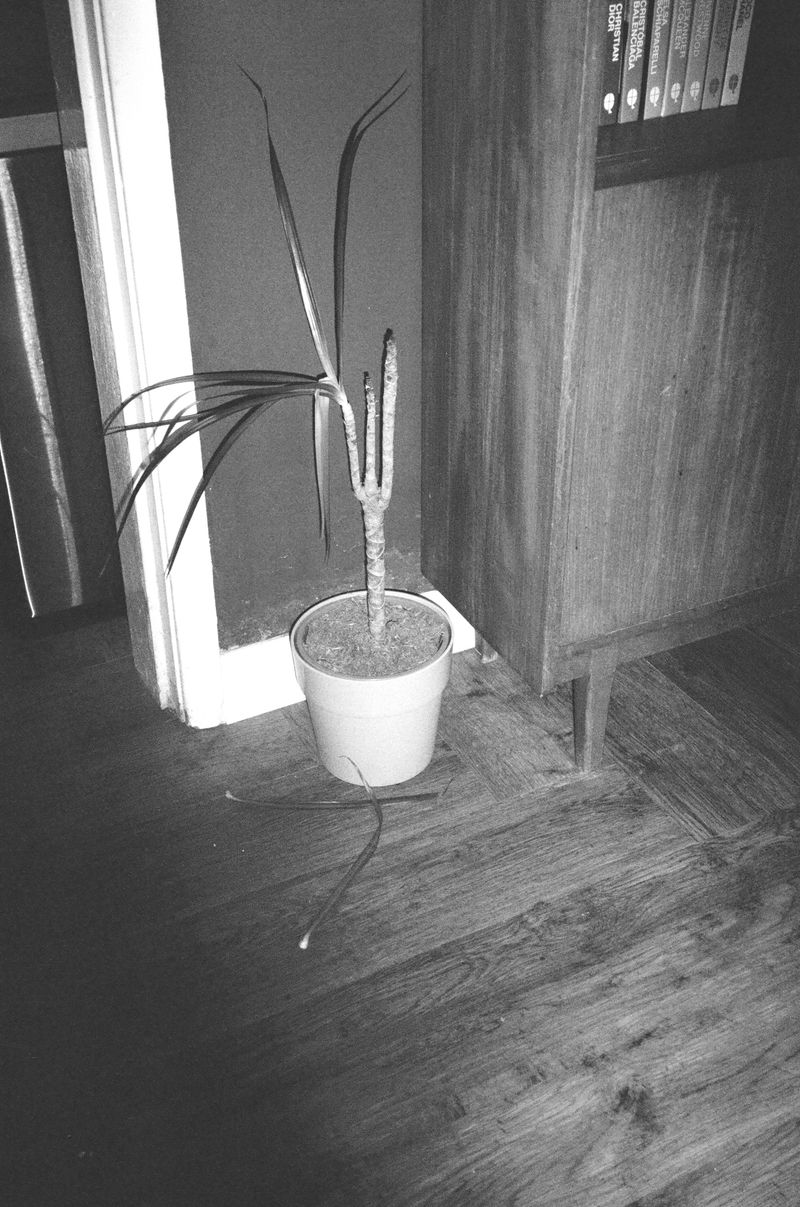 © Tyler Matthias - Image from the WHAT NOW? (WORKING TITLE) photography project