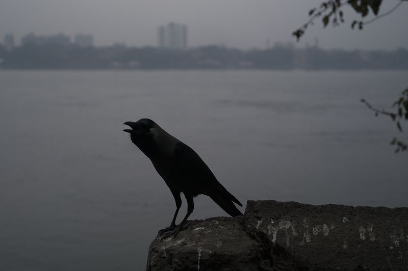 © Parboni Pallav Bose - Image from the Out of the Ash photography project