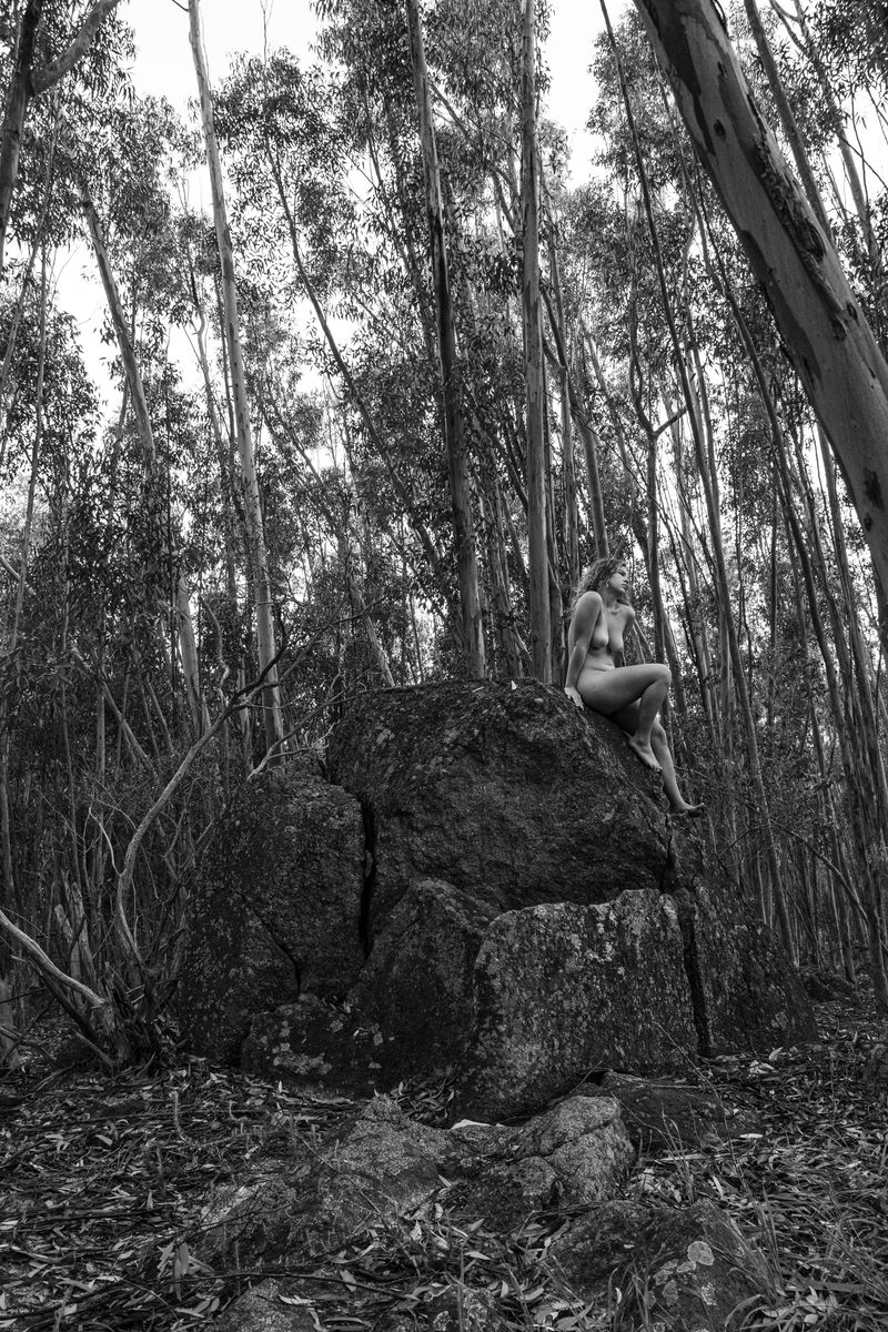 © Jordynrogotzki - For rest (Wellington, South Africa)