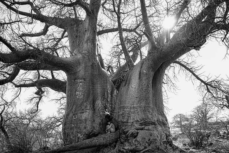 © Jordynrogotzki - Mother Nurture (Kubu Island, Botswana)