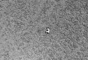 The art of being Lost