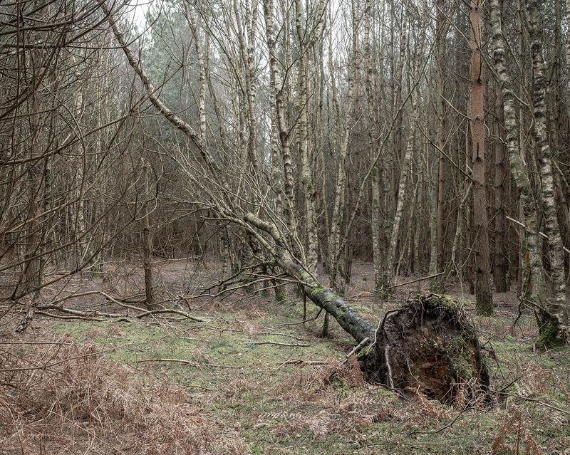 © Samuel Fradley - Image from the A Handshake with a Martian photography project