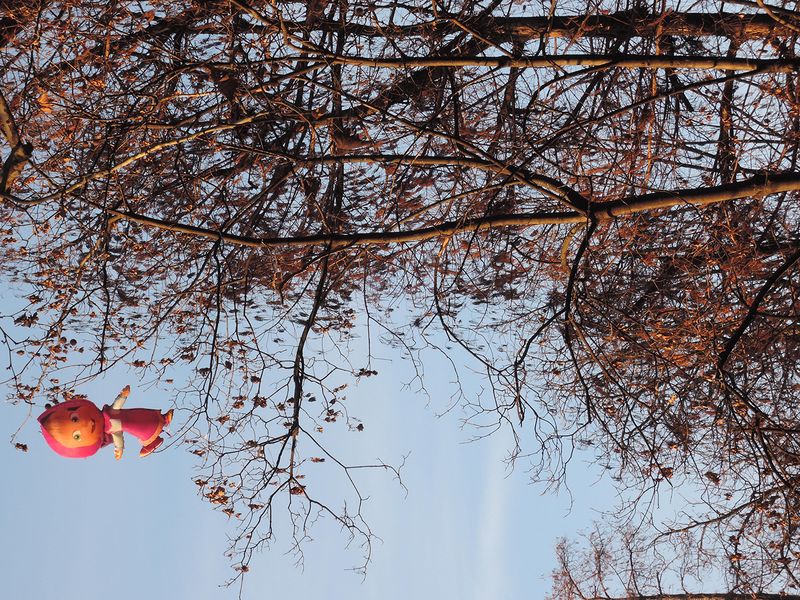 © bruna ginammi - I go into the wood