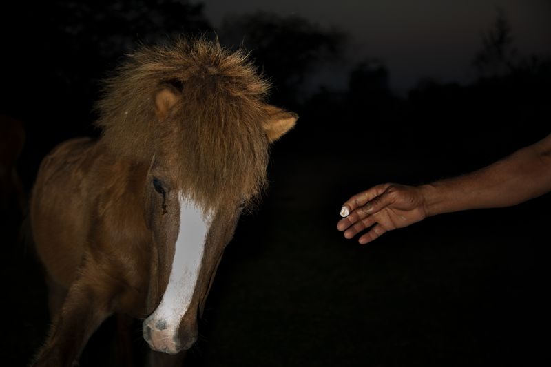 © Anupam Diwan - Image from the FIREFLIES photography project