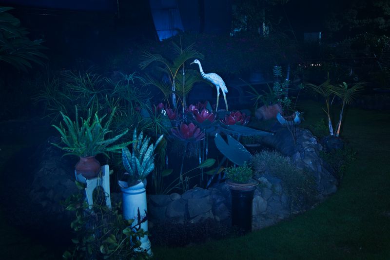 © Anupam Diwan - Image from the FIREFLIES photography project