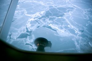 Shishmaref: A Native American Struggle