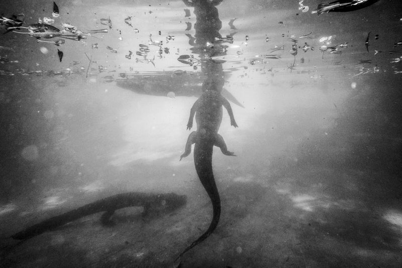 © Sébastien Van Malleghem - Image from the The Shame of the Sun photography project