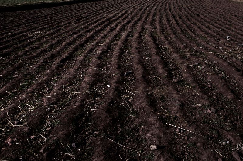 © Liz Tasa - Image from the Kápar photography project