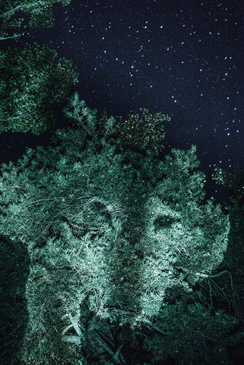 © Liz Tasa - Image from the Sublime Effroi photography project