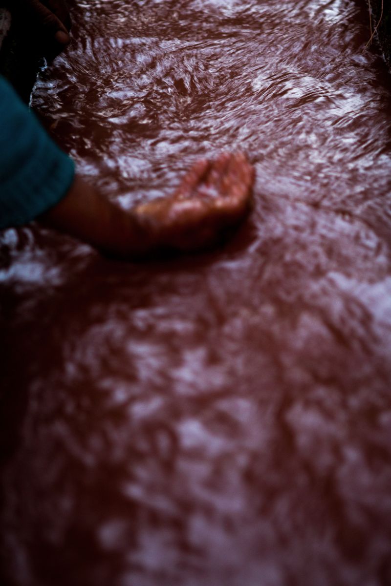 © Liz Tasa - Image from the Kápar photography project