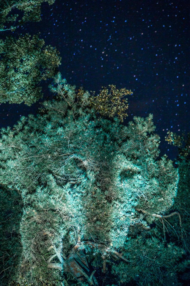 © Liz Tasa - Image from the Sublime Effroi photography project