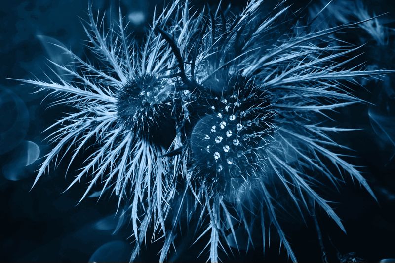 © Liz Tasa - Nature becomes beautiful due to its productive potential, man tames it and extracts all its substance