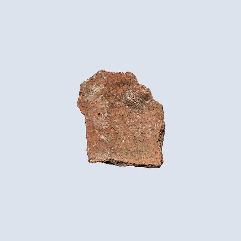 © Constanza Bravo - Image from the FRACTAL photography project