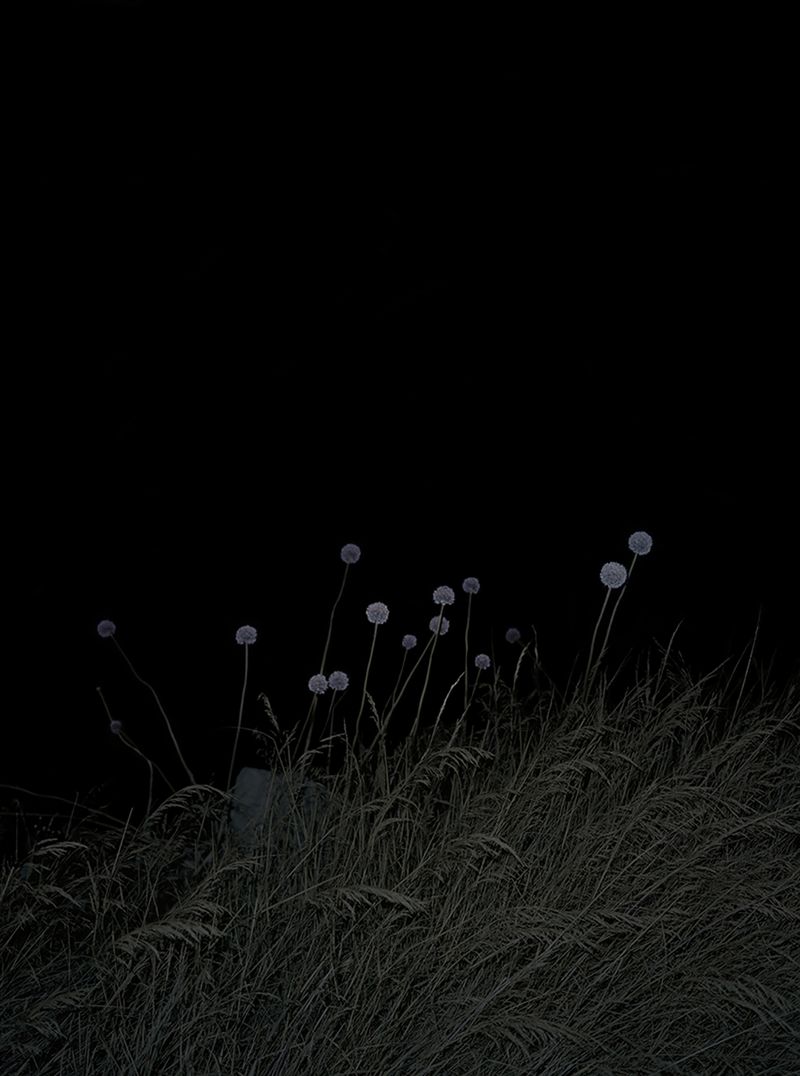 © Berangere Fromont - Image from the cosmos photography project