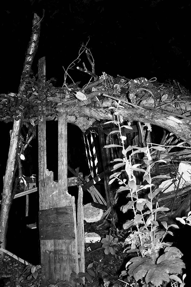 © Berangere Fromont - Image from the I don't want to disappear completely photography project