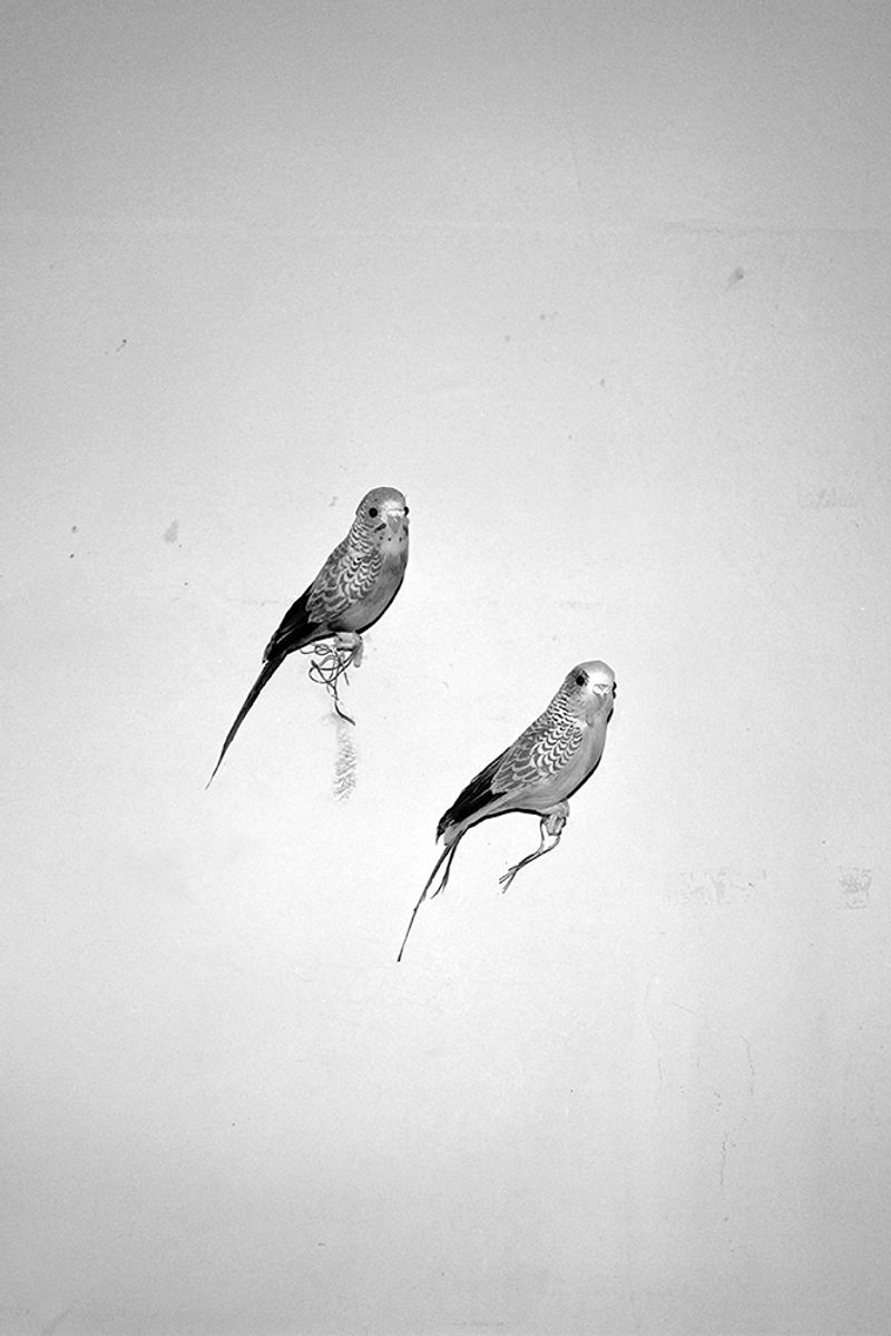 © Berangere Fromont - Image from the I don't want to disappear completely photography project