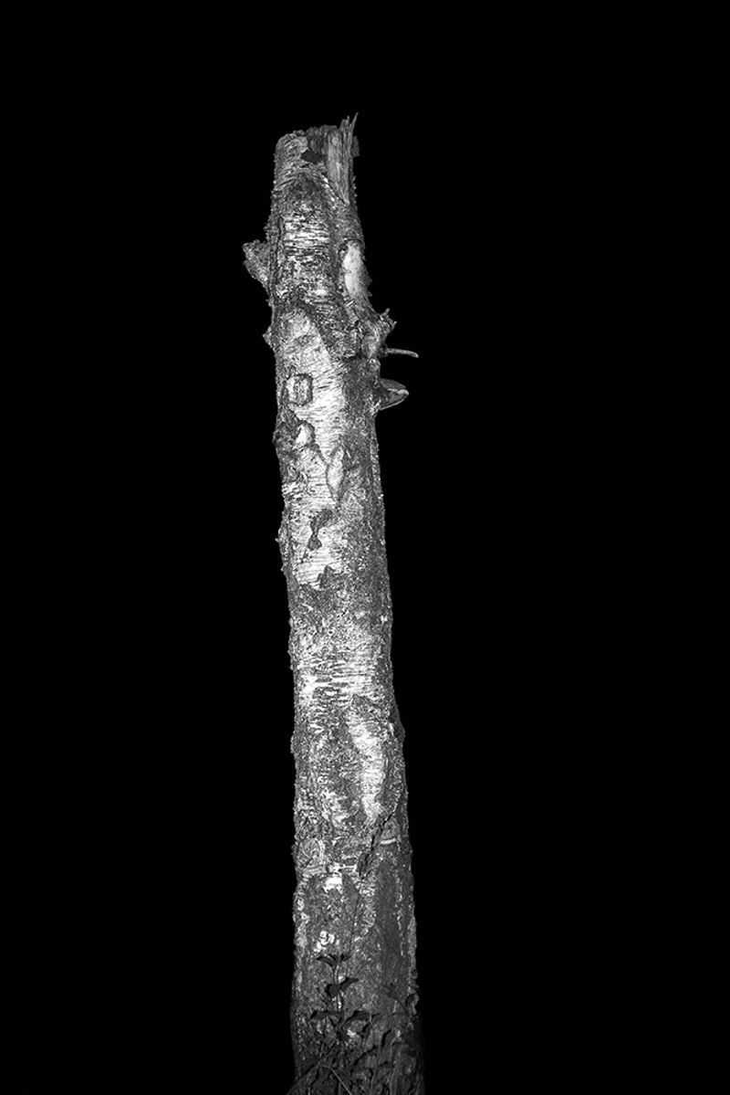 © Berangere Fromont - Image from the I don't want to disappear completely photography project