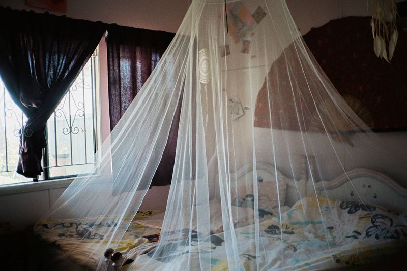 © J Forsyth - Image from the Gold Coast, Australia photography project