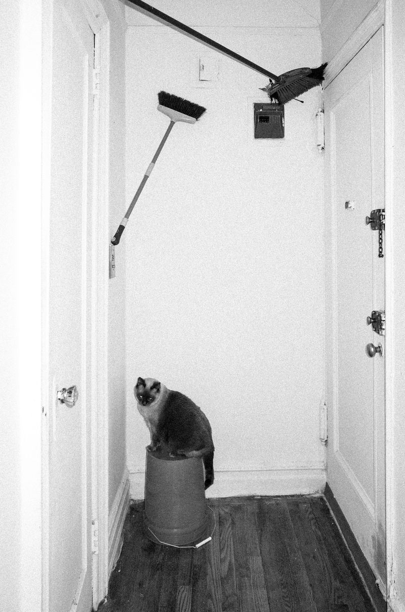 © Martha Ormiston - Image from the Houlen photography project