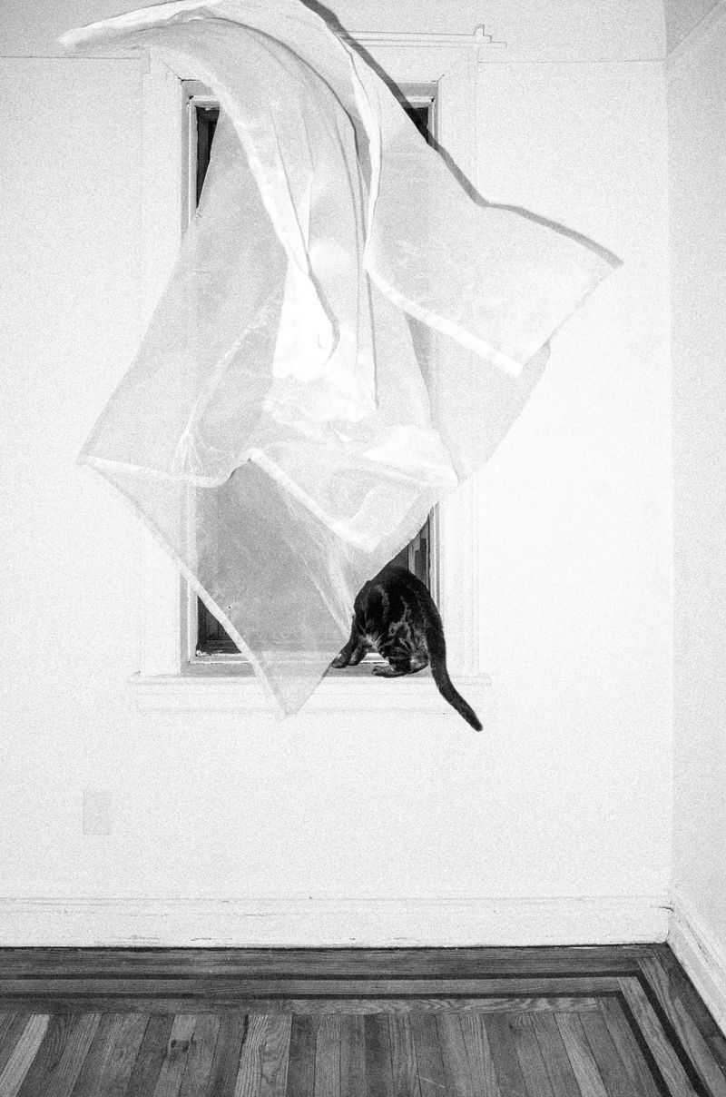 © Martha Ormiston - Image from the Houlen photography project