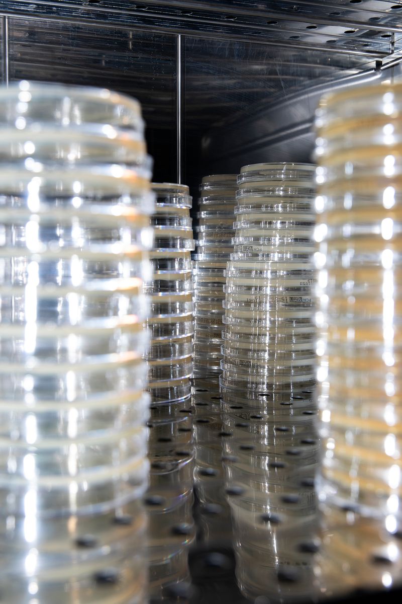 © Lukas Ratius - Bath water samples for testing for coli bacteria in a state-verified laboratory in Saarbrücken