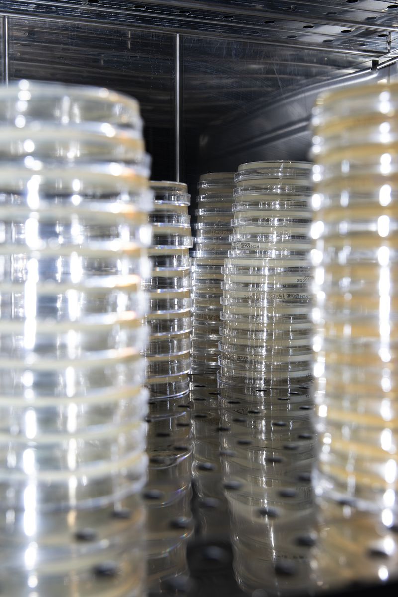 © Lukas Ratius - Bath water samples for testing for coli bacteria in a state-verified laboratory in Saarbrücken