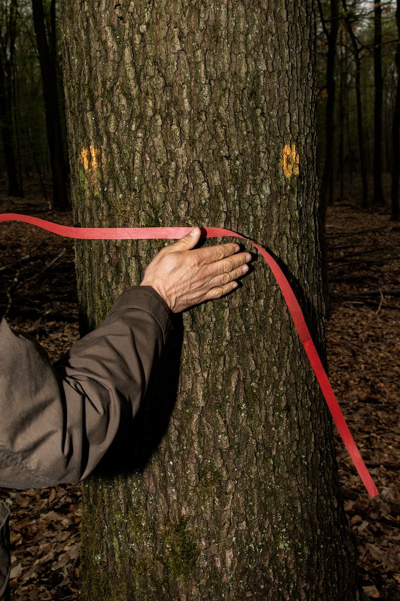 © Lukas Ratius - State forest worker during the forest inventory in the Riegelsberg forest district