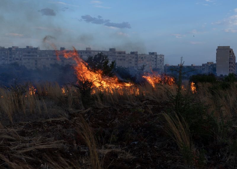 © Lukas Ratius - Image from the In the Realm of the Red Pigeons photography project