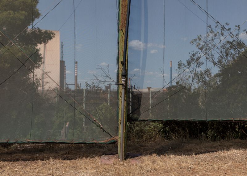 © Lukas Ratius - Image from the In the Realm of the Red Pigeons photography project