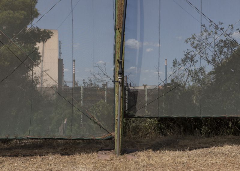 © Lukas Ratius - Image from the In the Realm of the Red Pigeons photography project
