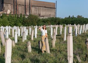 In the Realm of the Red Pigeons