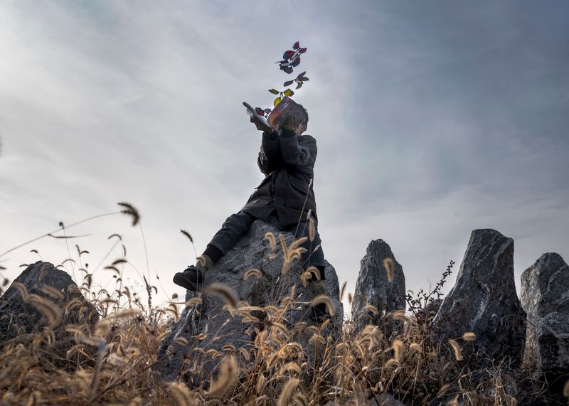 © Pang Hai - Image from the Heart Warming Rocks photography project