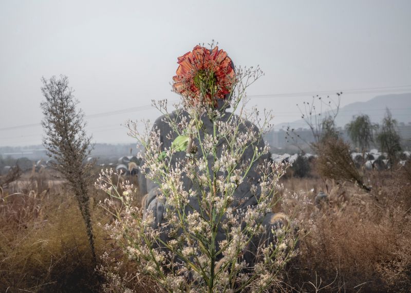 © Pang Hai - Image from the Heart Warming Rocks photography project