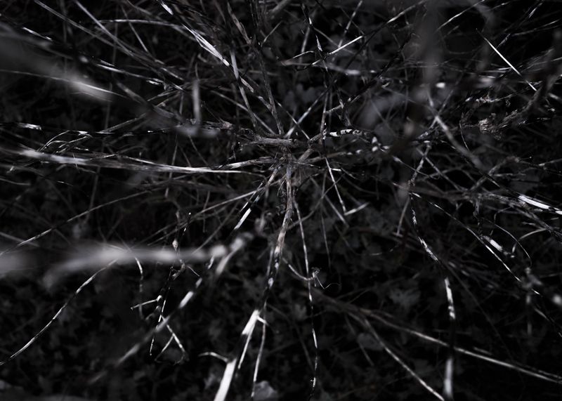 © Pang Hai - Image from the Heart Warming Rocks photography project