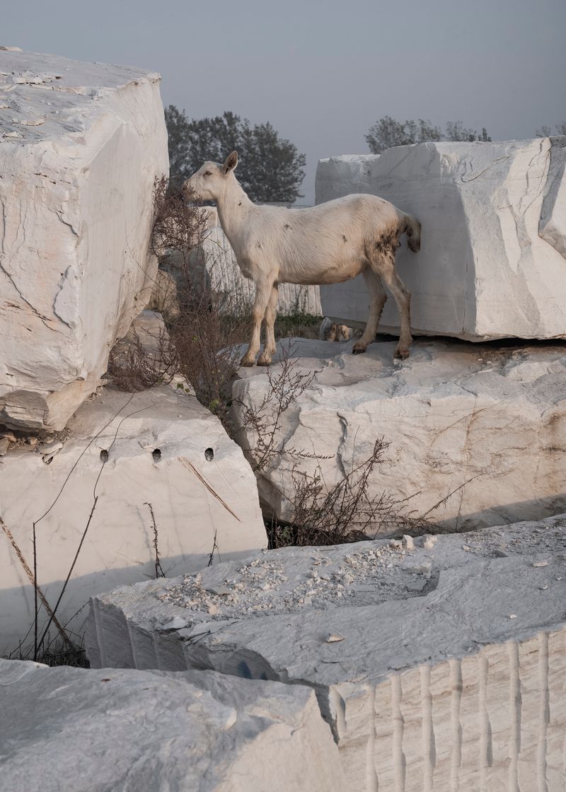 © Pang Hai - Image from the Heart Warming Rocks photography project