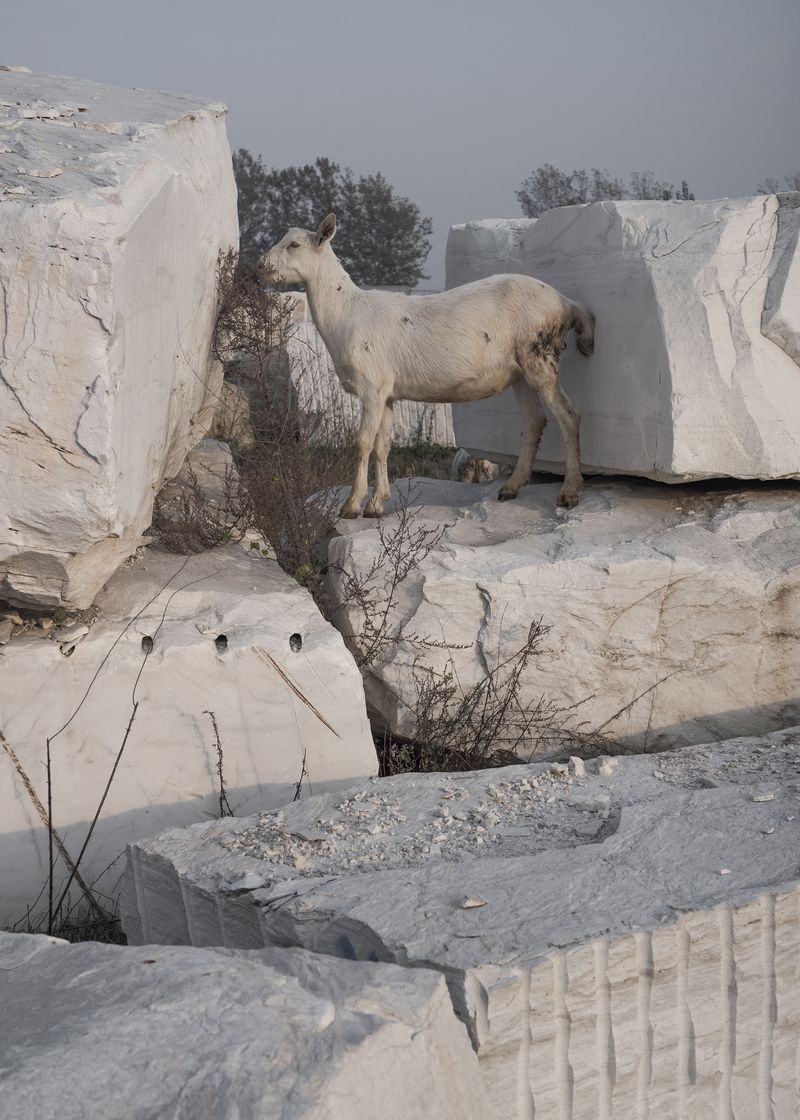 © Pang Hai - Image from the Heart Warming Rocks photography project