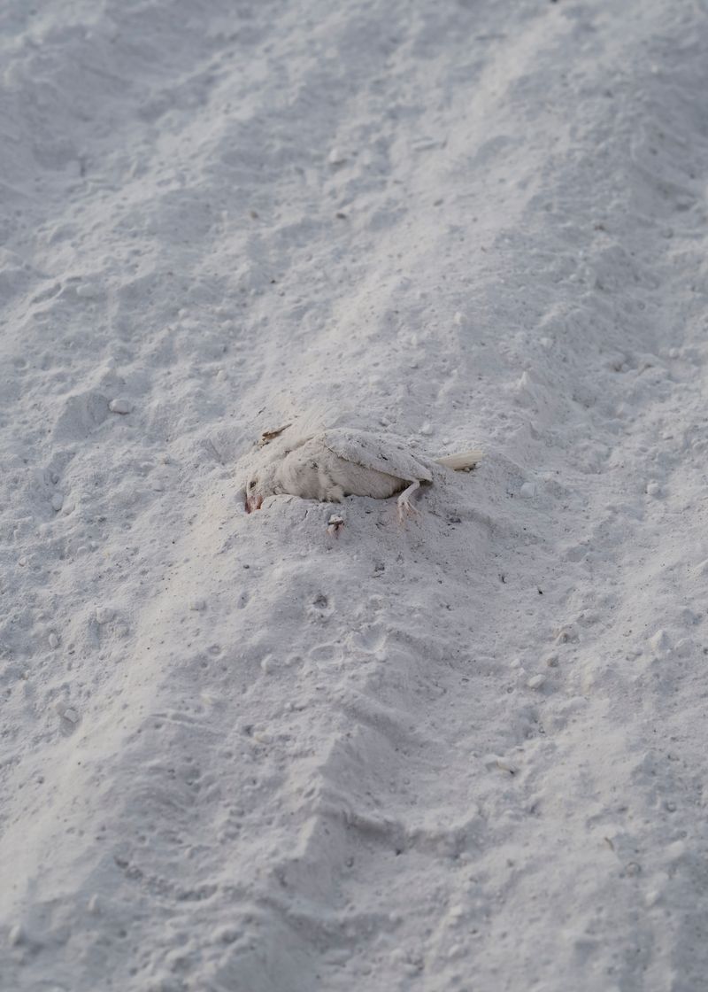 © Pang Hai - Image from the Heart Warming Rocks photography project