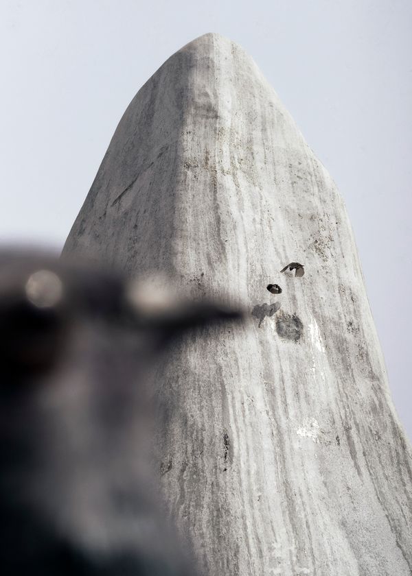 © Pang Hai - Bird's home: A lifting hole in the stone becomes the bird's new hom